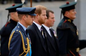 Principe William e Harry, l’incontro segreto con il maggiordomo di Lady Diana: cosa sappiamo?